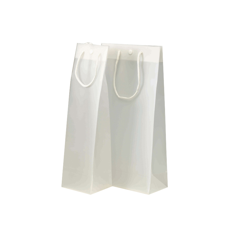 SACS BOUTEILLE ASPECT CALQUE